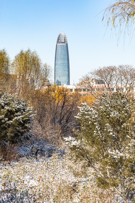 济南泉城公园自然景观雪景