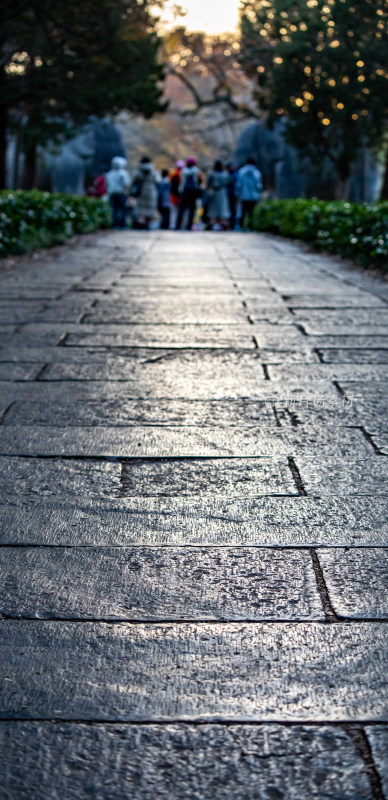 游客参观南京明孝陵石象路神道石像古迹场景