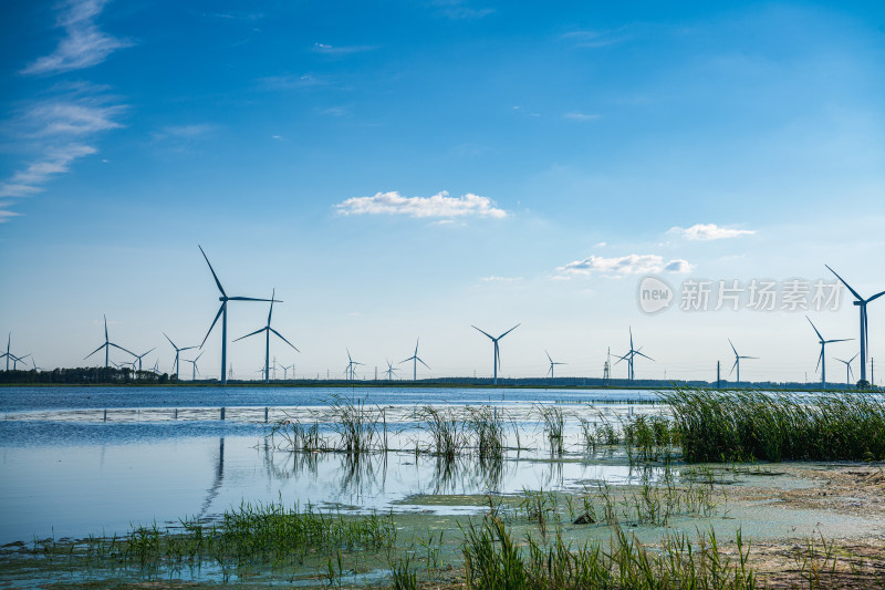 黑龙江省大庆市湿地风力发电