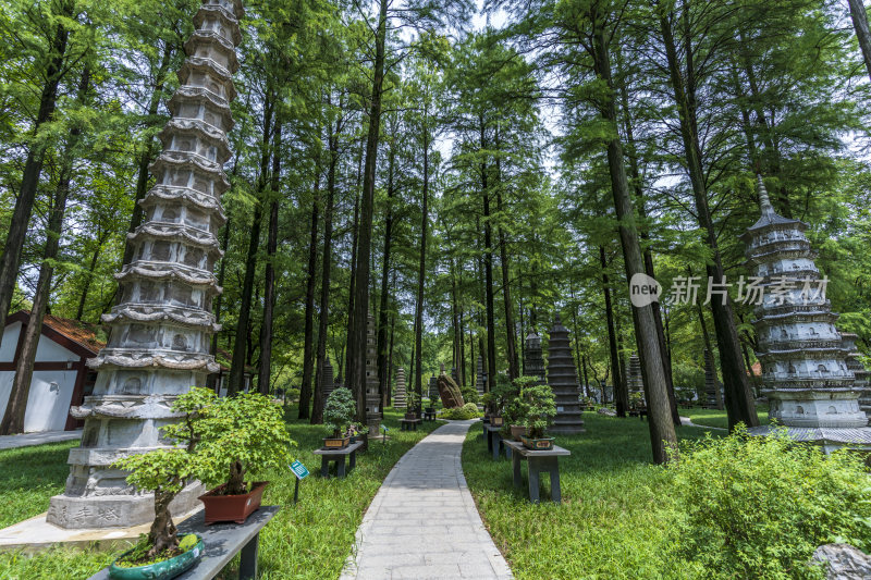 武汉江岸区解放公园风景