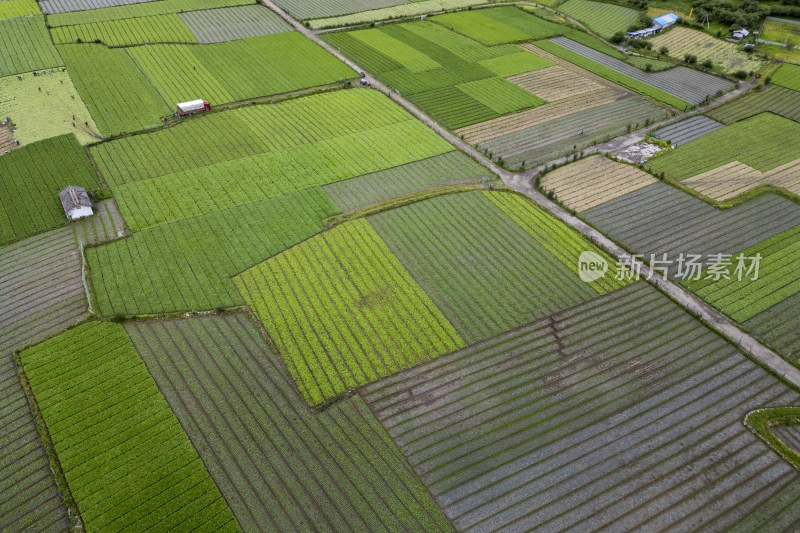 航拍俯拍位于阿坝州的高原蔬菜基地