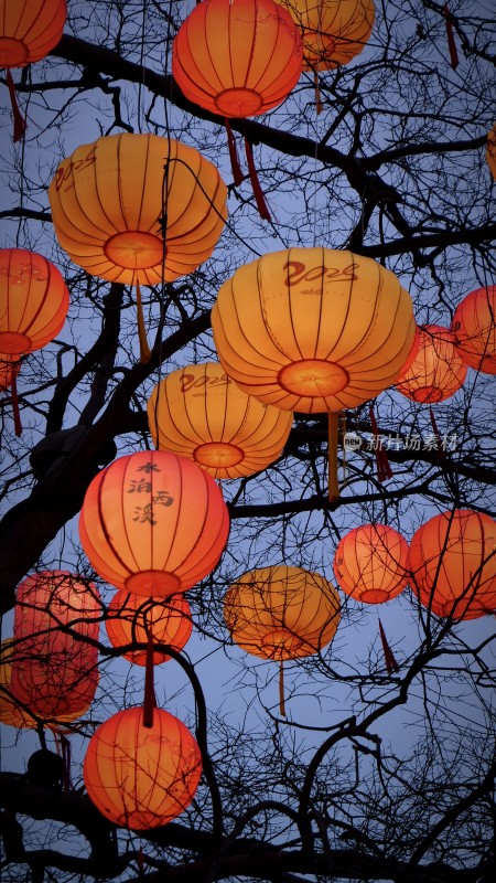 树枝上挂着多个中式红灯笼的夜景