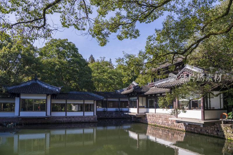 杭州西湖风景区曲院风荷风景