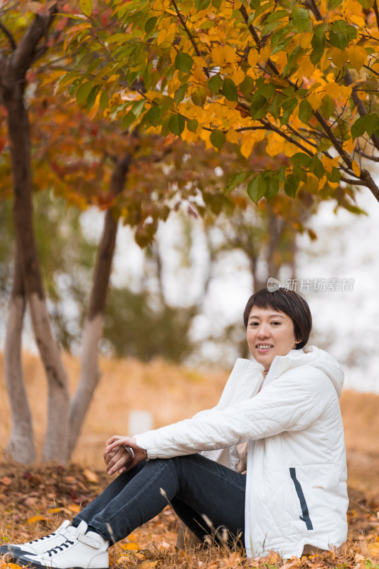 北京秋天秋游坐在树林中欣赏秋色美景的女性