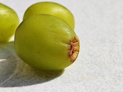 光泽表面上的青葡萄特写