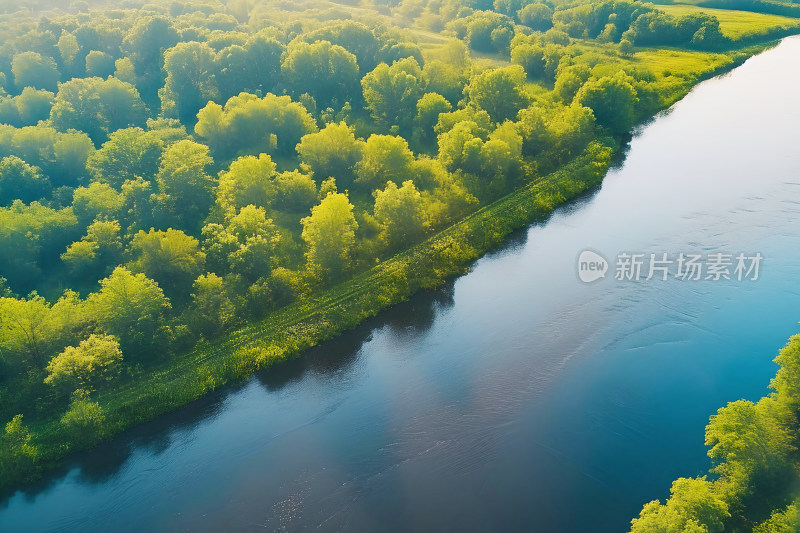 生态背景早晨河流树木