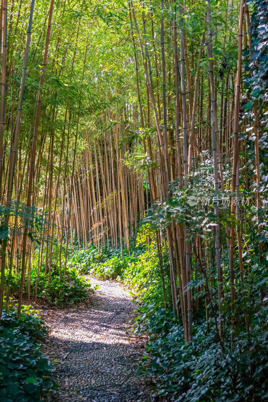 晴朗的午后，扬州瘦西湖江南园林风景