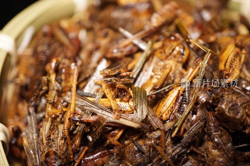 食用昆虫油炸蚂蚱蝗虫干炸蝗虫宠物饲料实拍