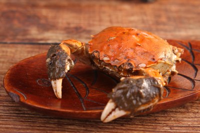 阳澄湖大闸蟹鲜美食材清蒸螃蟹