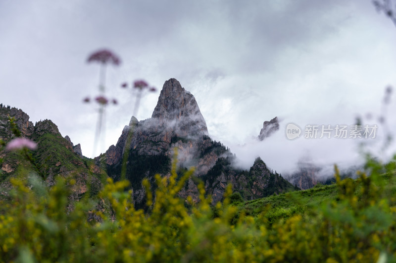 扎尕那蓝天白云山峰草地