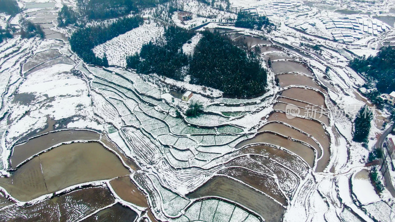 农田雪景