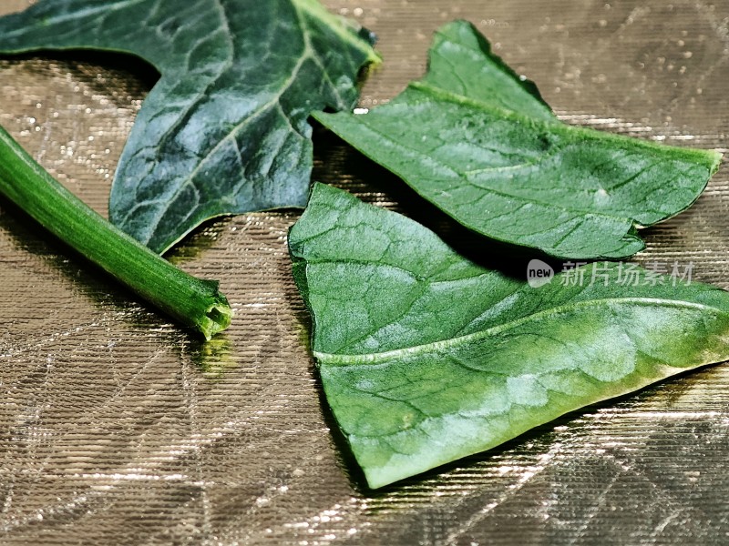 绿色叶片特写展现植物生机