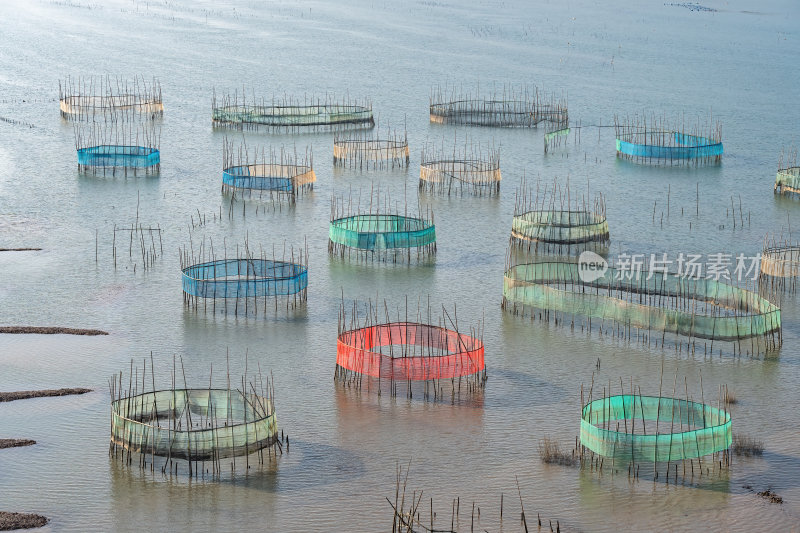 福建宁德霞浦县城红树林湿地涂滩海边景观