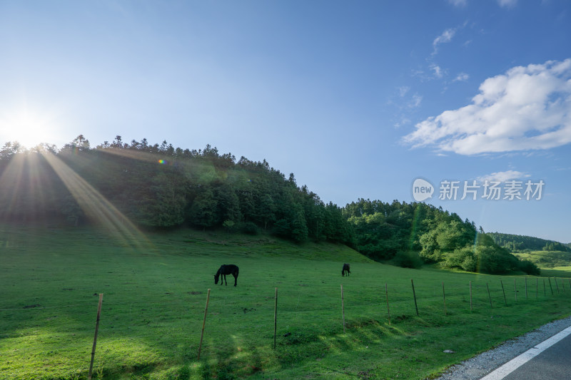 重庆市武隆区仙女山国家森林公园