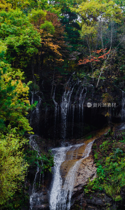 河南洛阳市白云山景区的秋季的树林和瀑布