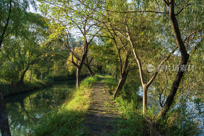 杭州西溪湿地