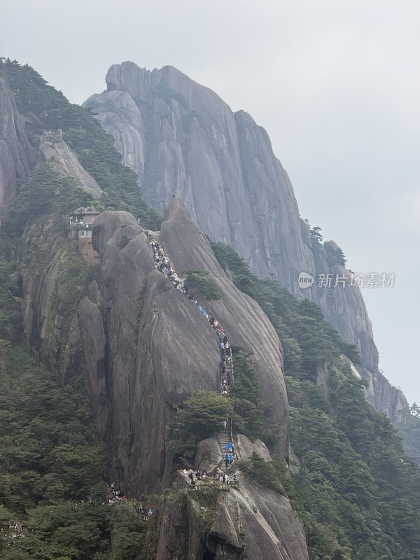 黄山山间松树映衬下的壮丽山脉全景