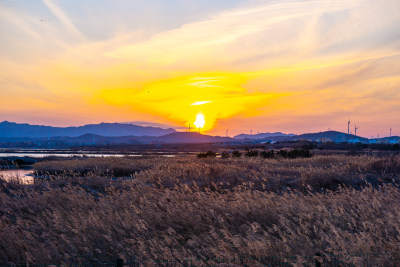 夕阳下的芦苇荡与远山景观