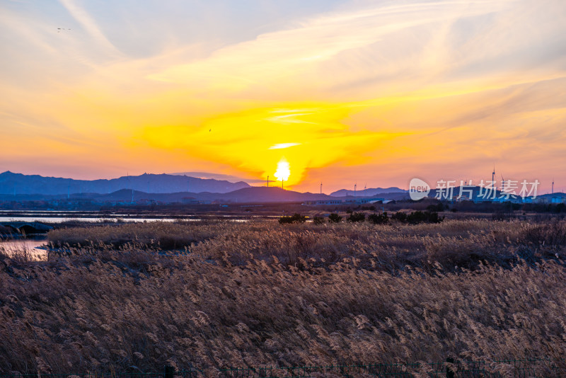 夕阳下的芦苇荡与远山景观