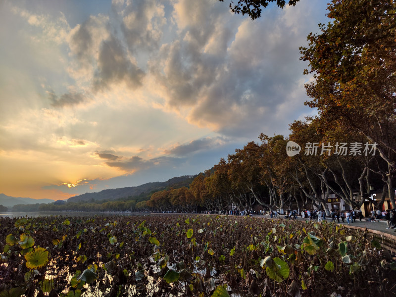 杭州西湖断桥湖畔黄昏夕阳下的景色