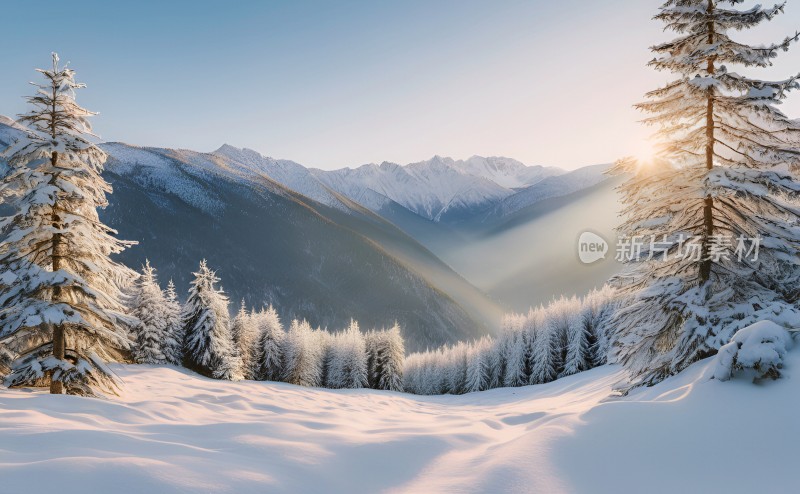 冬季森林白雪覆盖风景