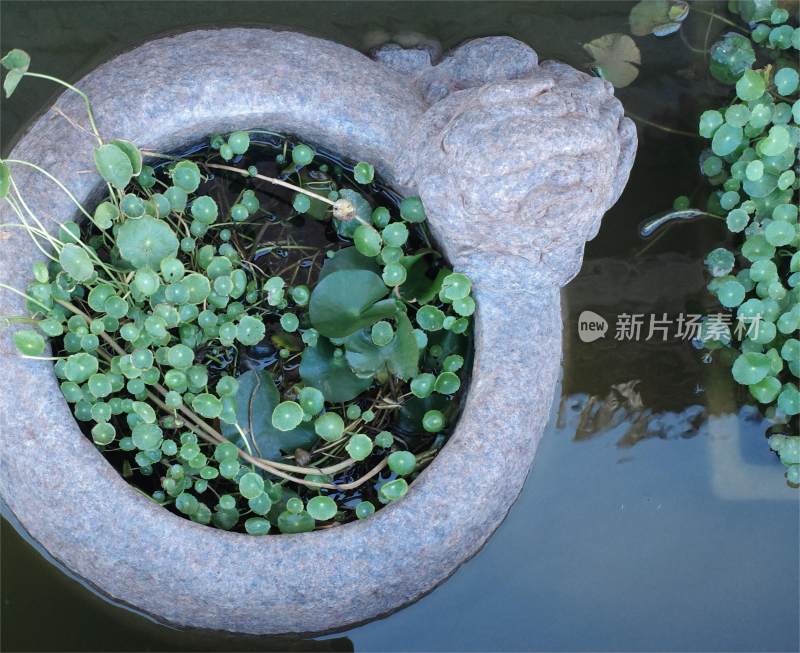 晋江梧林民族村落