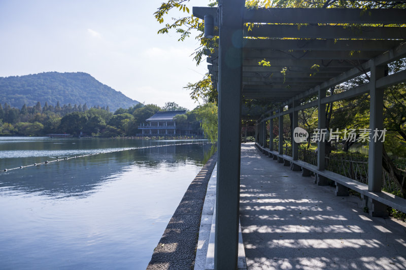 杭州西湖花港观鱼风景