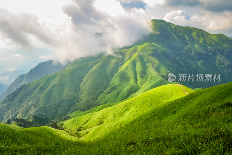 夏天江西武功山的高山草甸