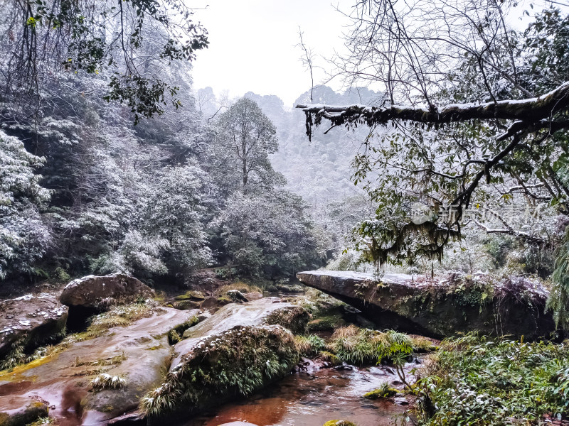 冬日，成都邛崃天台山雪景