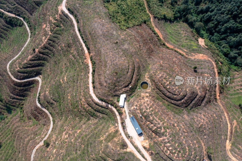 山坡上的梯田 经济作物种植基地