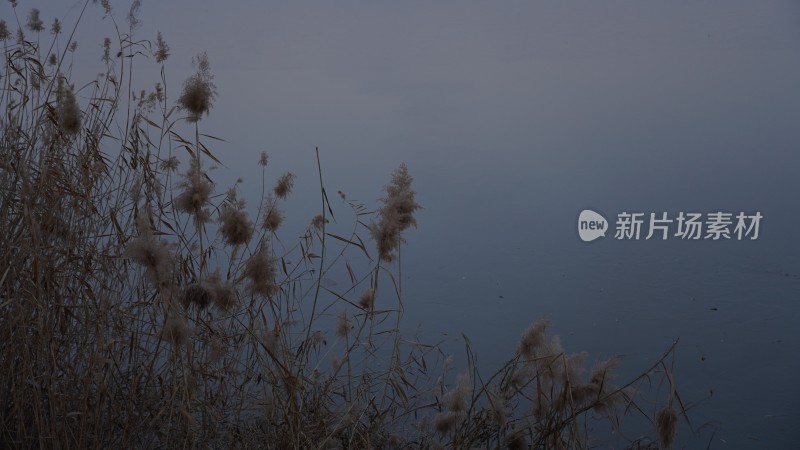 湖边的黄昏日落风景