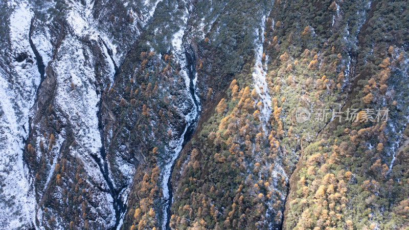 前往川西阿坝理小路自驾游玩