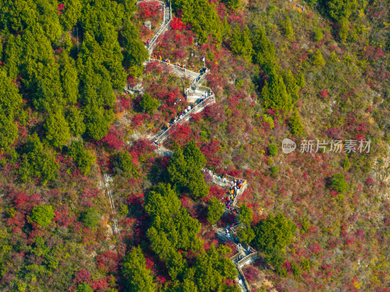 长江三峡巫峡红叶