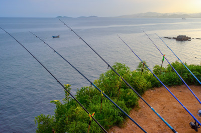 大连傅家庄公园山上风光