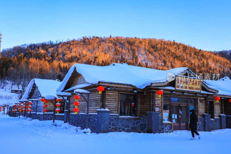 冬季东北雪地自然风光