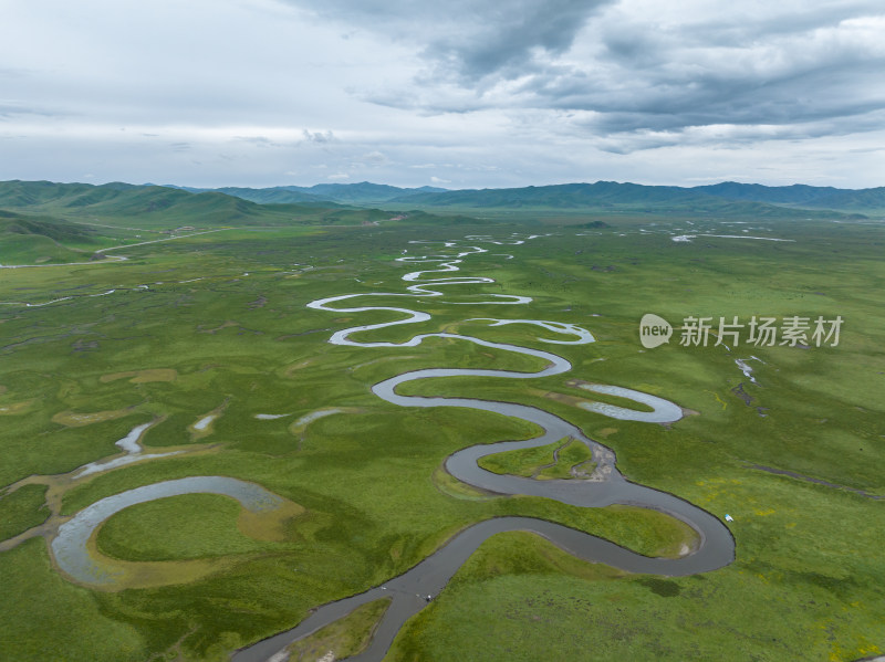 黄河草原湿地