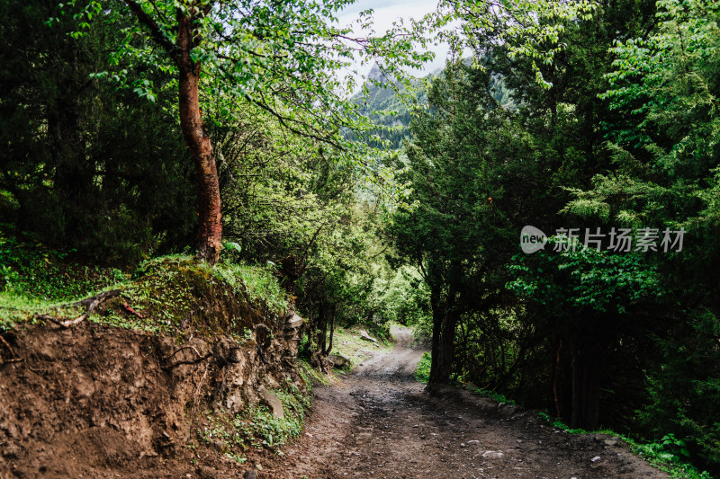 阿坝州四姑娘山长坪沟