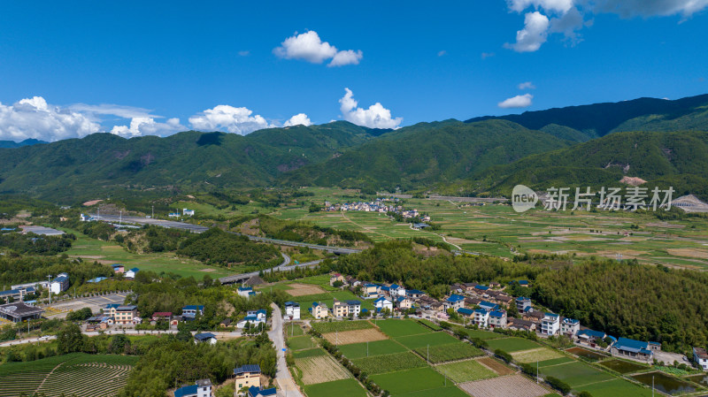 航拍乡村绿色稻田 乡村振兴