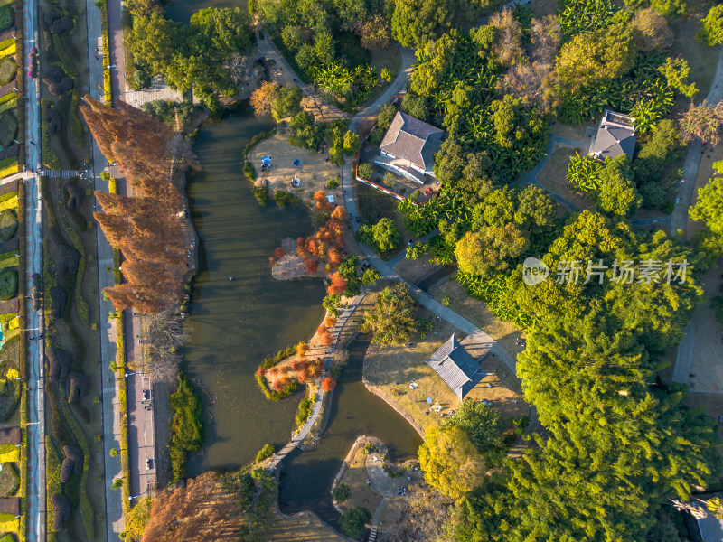 福州城市中色彩斑斓的树林全景