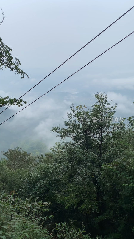 杭州天目山风景