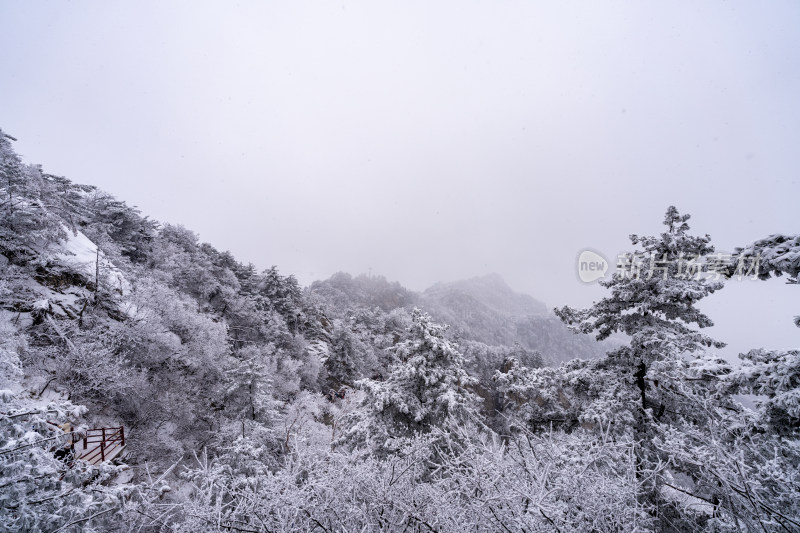 老君山下雪大山森林雾凇景观