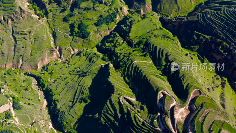 黄土高原地貌