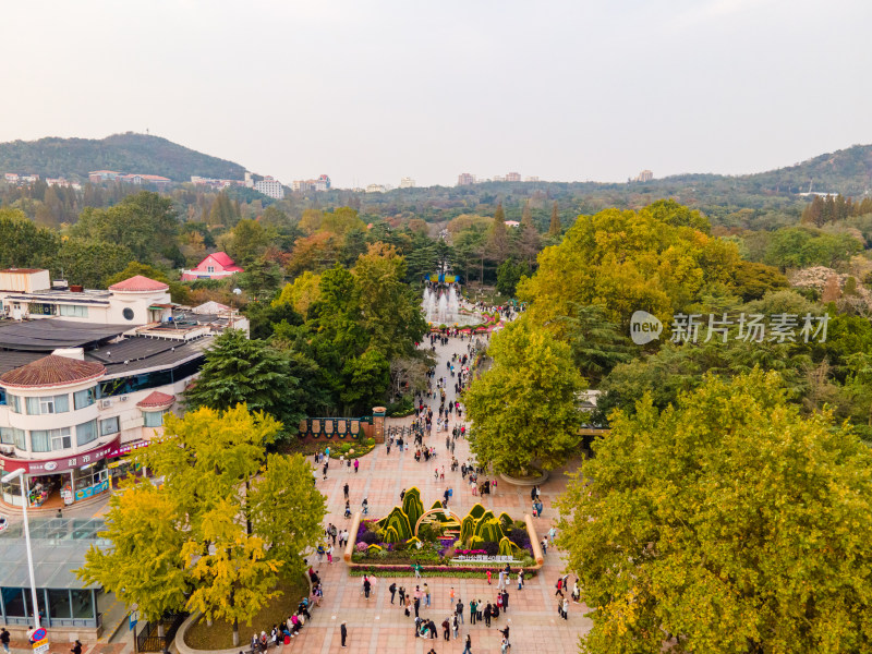 青岛中山公园航拍全景鸟瞰