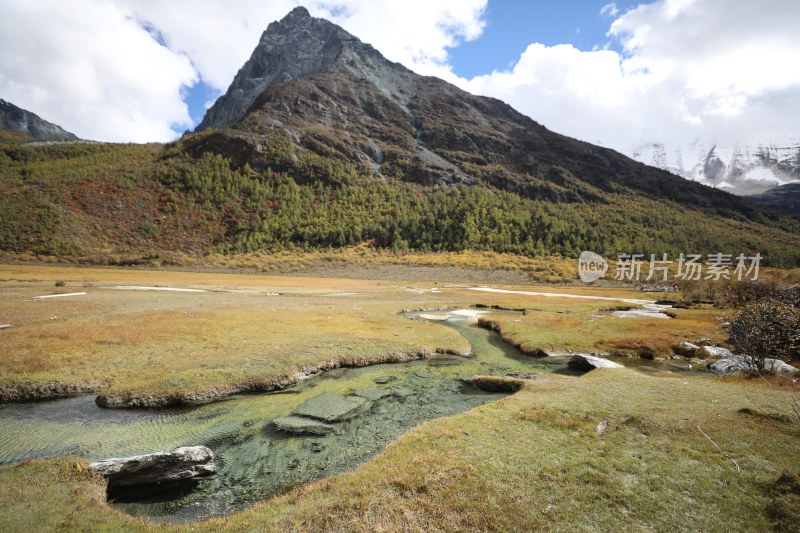 中国四川甘孜稻城亚丁洛绒牛场秋景