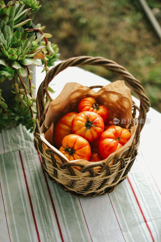 西红柿 番茄 番茄特写 新鲜水果