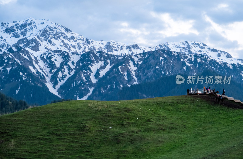 新疆伊犁蓝天白云下的雪山草原