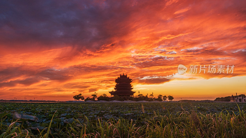 夕阳下的苏州重元寺阳澄湖