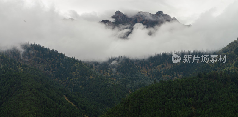 云雾中的森林山峰虎头山