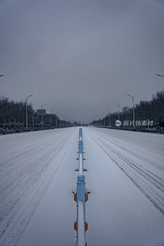 下雪的公园特写景观