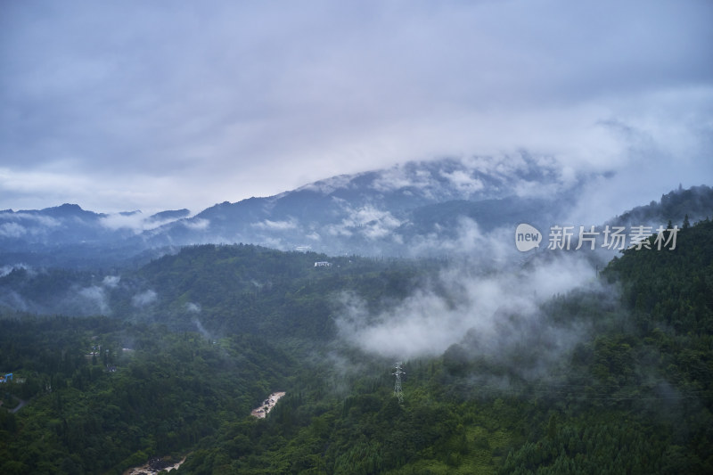 峨眉山的原始森林